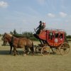 Accessoire cowboys