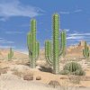 Cactus