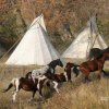 Chevaux