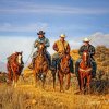 Cowboys