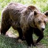 Ours