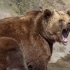 Ours