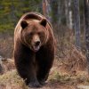 Ours